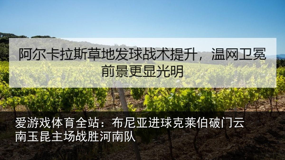 爱游戏体育全站:布尼相关情况云南相关情况队